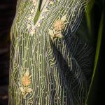 Original Handwork Pheran